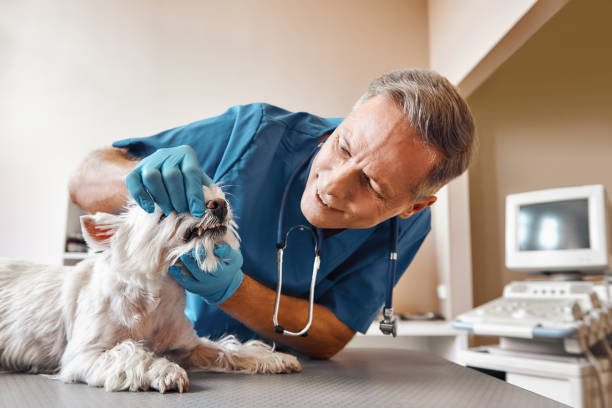 Best Weekend Emergency Dentist in Blue Ridge, AL