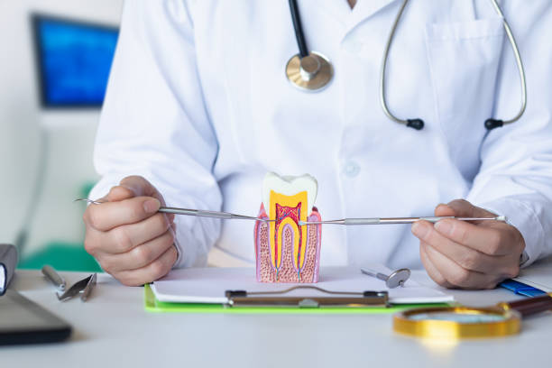 Best Emergency Treatment for Dental Infections or Abscesses in Blue Ridge, AL